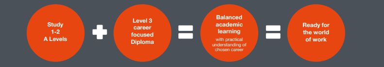 Young Professionals Academy Diagram 